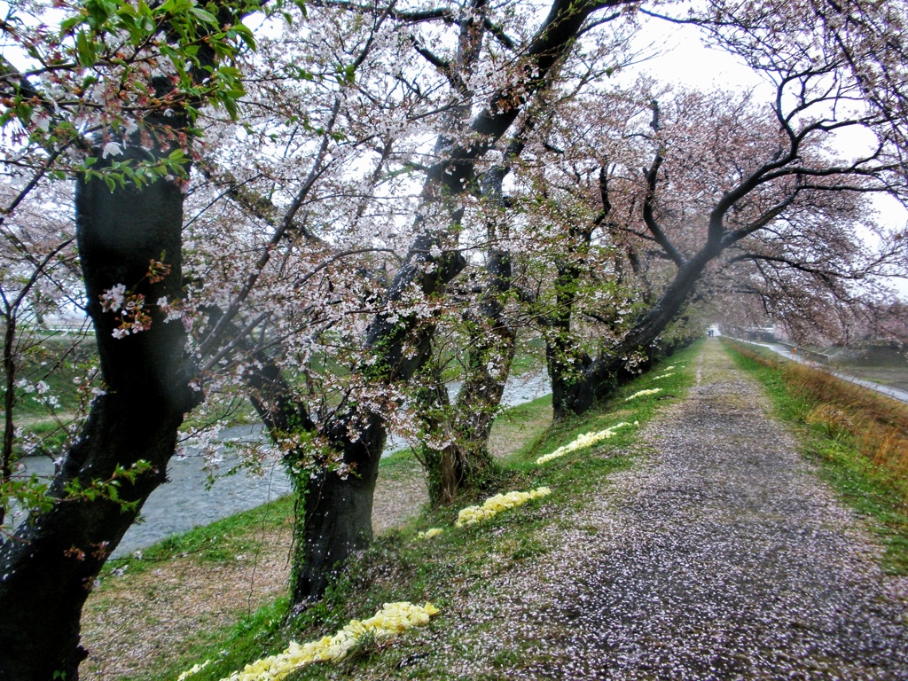 あさひ舟川