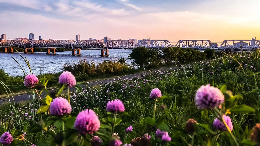 夕暮れ時の淀川