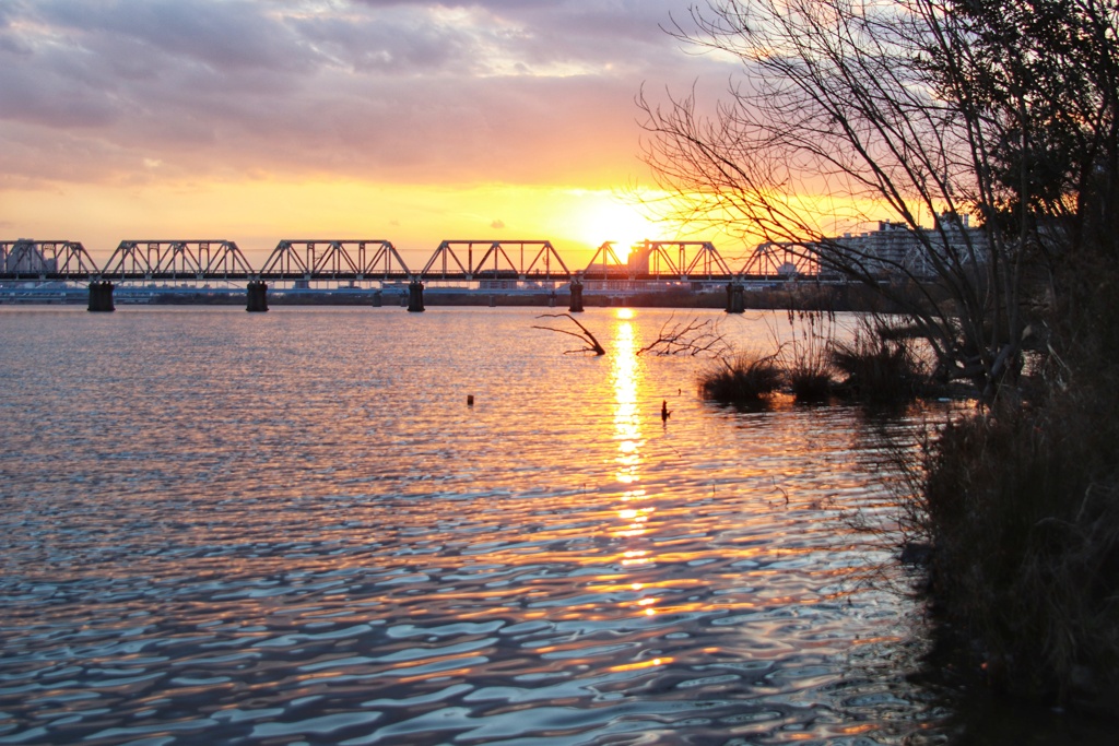 淀川の夕景