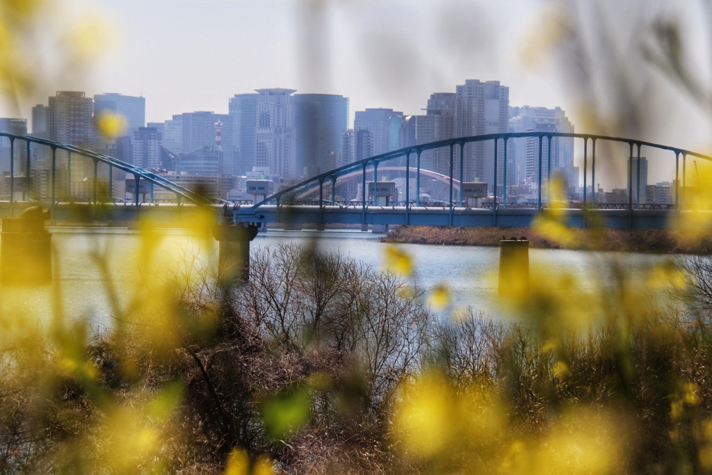 淀川の水道橋
