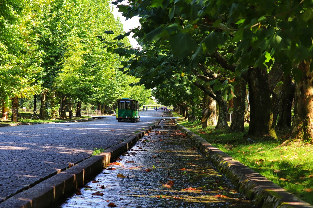 秋を待つ万博記念公園