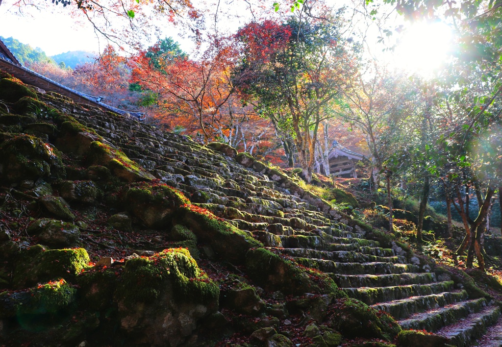 高源寺　石段