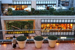 屋上庭園