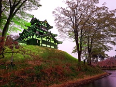 高田城跡公園（新潟）ライトアップ