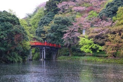 高岡古城公園