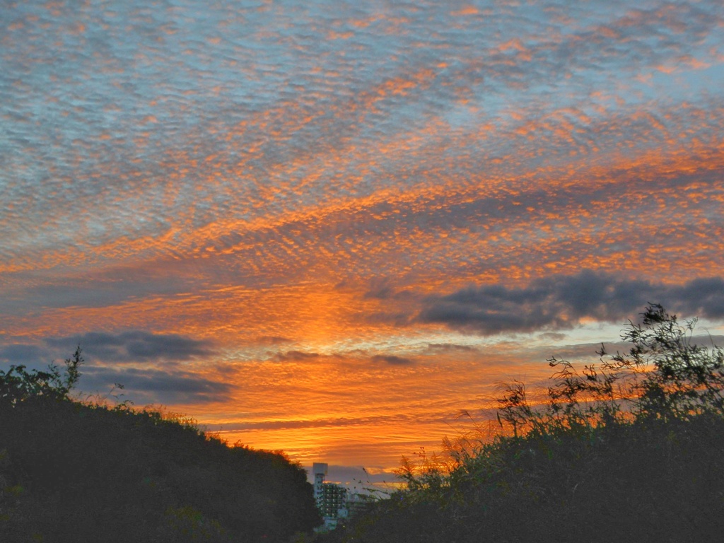 10月11日の夕空（続）