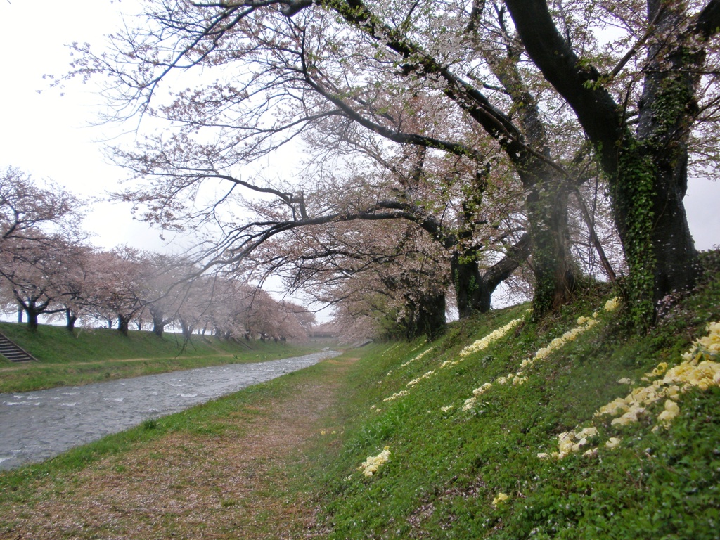 あさひ舟川