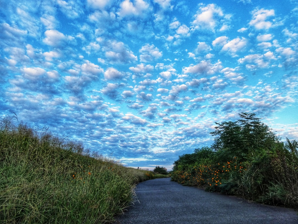 秋空