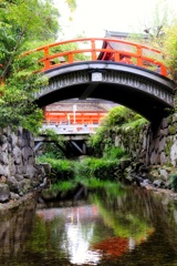 下鴨神社 下鴨神社