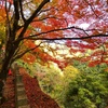 永源寺　紅葉