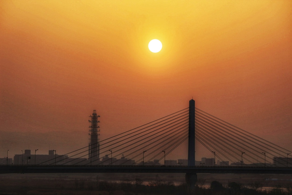 淀川の朝景