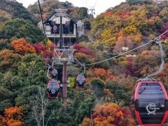神戸布引ハーブ園へ