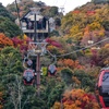 神戸布引ハーブ園へ