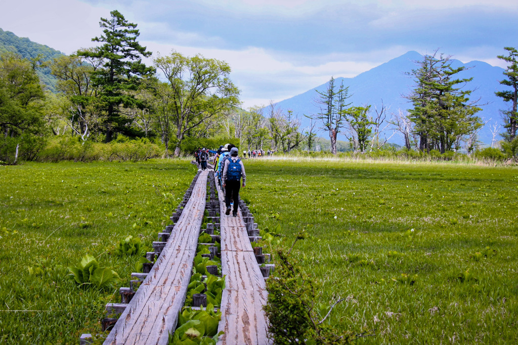 尾瀬を歩く（８）