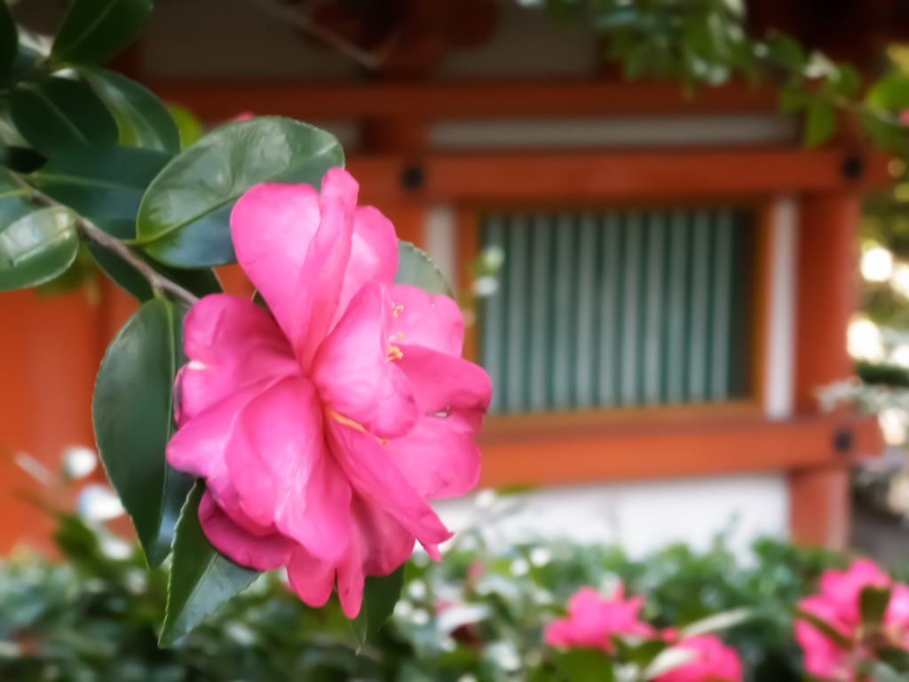 石山寺　心経堂