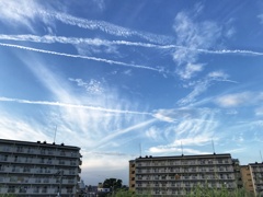 Busy sky