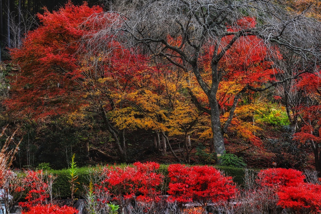 高蔵寺