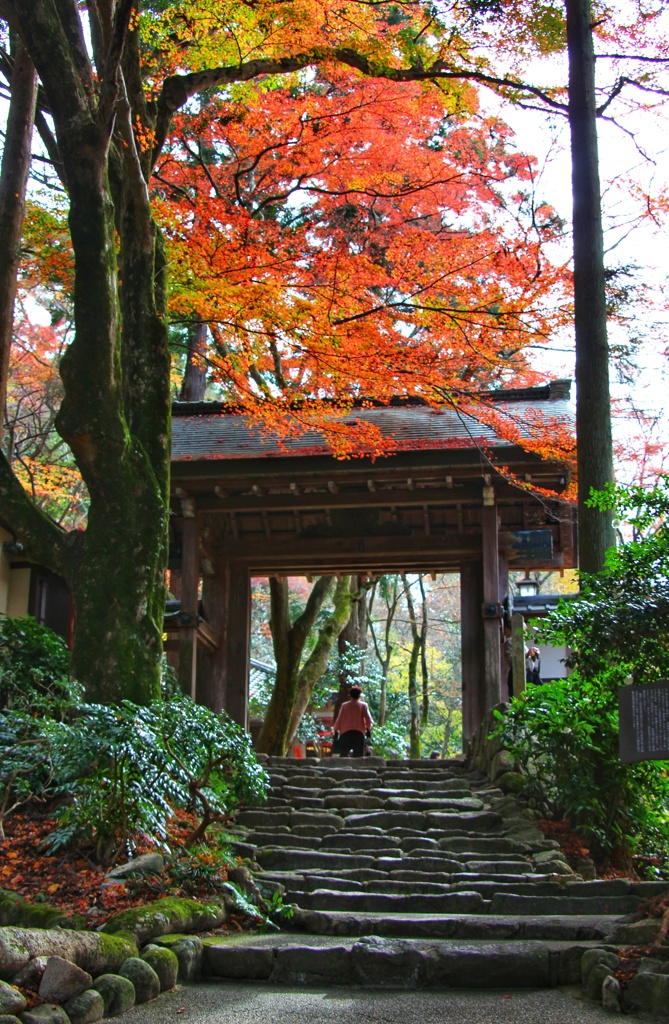 瑞宝寺公園