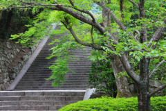 京都　知恩院