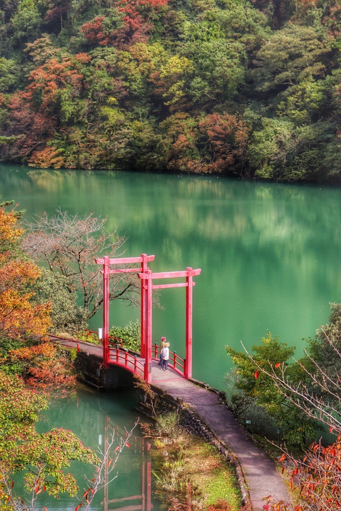 庄川水記念公園の秋