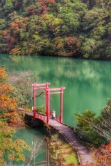 庄川水記念公園の秋