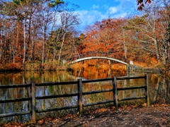 大沼国定公園の秋