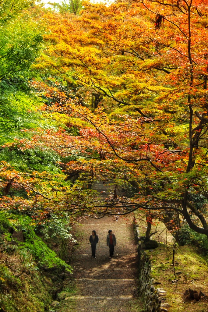 鶏足寺　参道
