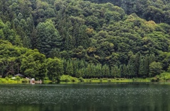 夏の中綱湖