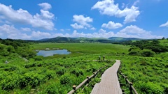 八島ケ原湿原