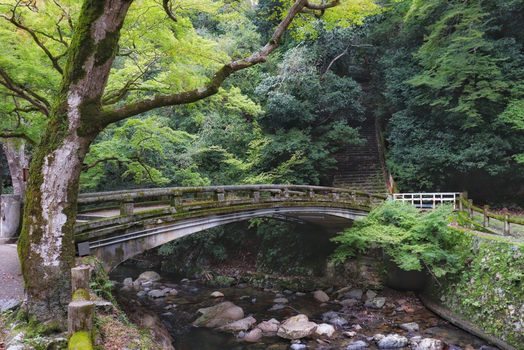 続　秋を待つ箕面公園