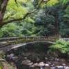 続　秋を待つ箕面公園