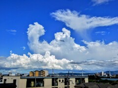 この力こぶが目に入らぬか