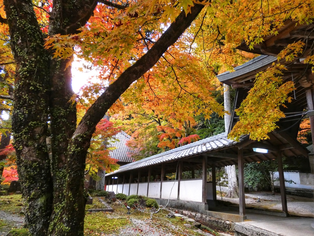 永源寺