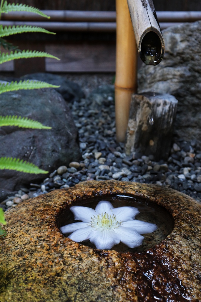 古民家の花手水