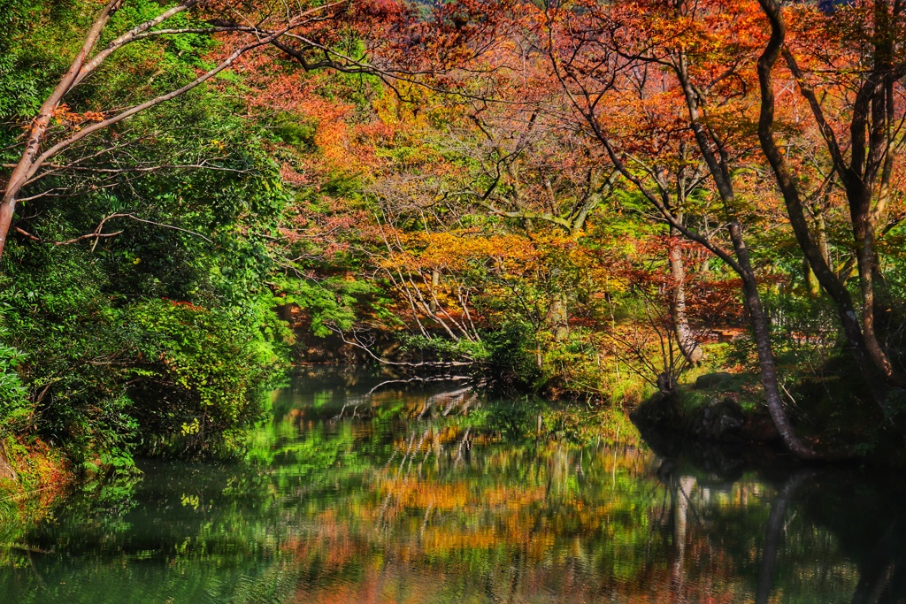 水辺の紅葉