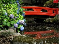 住吉神社④