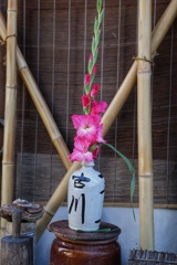 玄関の花(1)