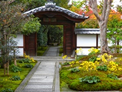 高台寺　圓徳院