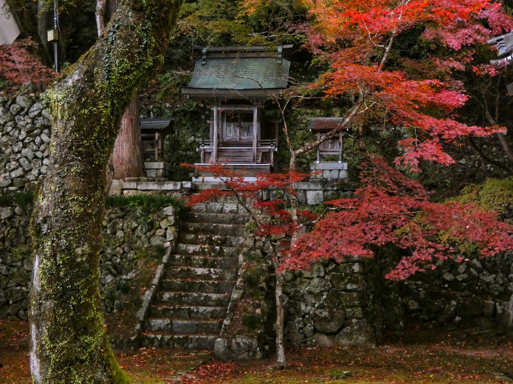 永源寺にて