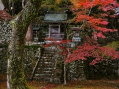 永源寺にて