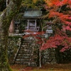 永源寺にて