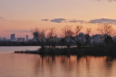 淀川　夕景