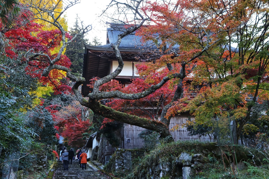 常勝寺
