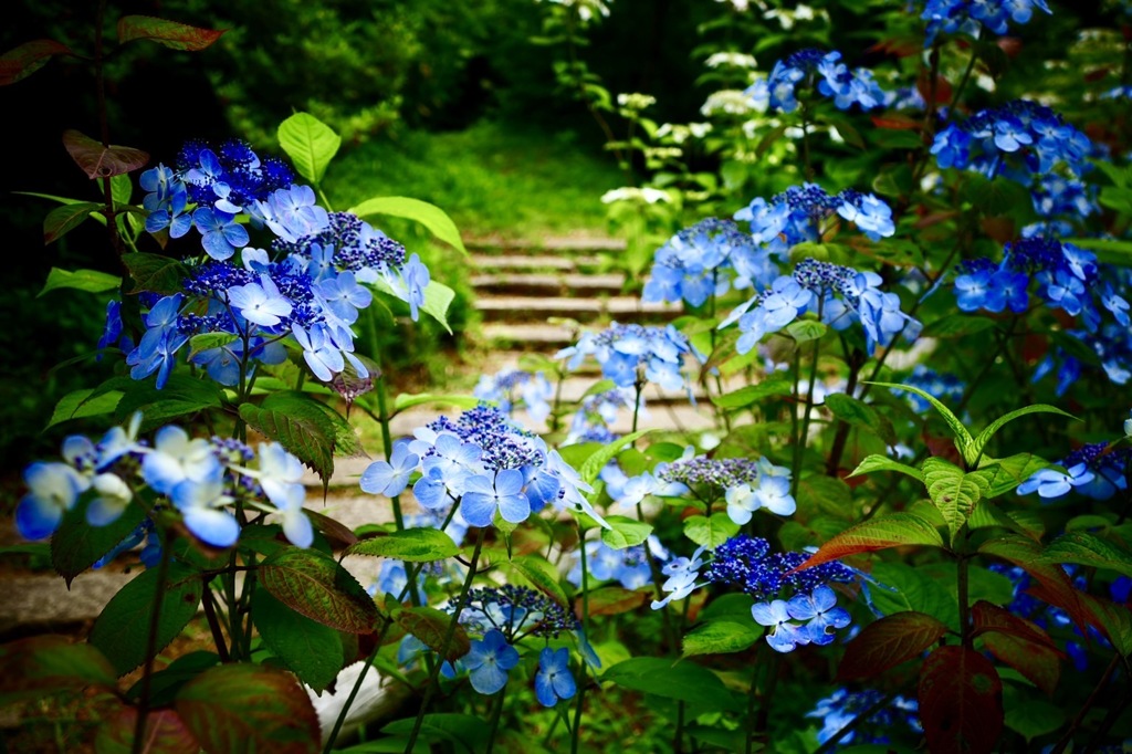 神戸森林植物園にて
