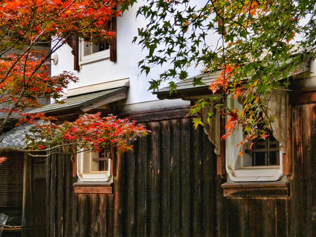 永源寺　蔵