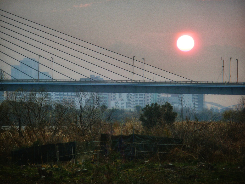 淀川夕景
