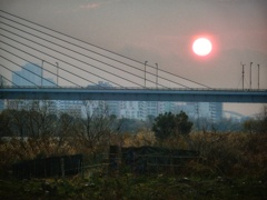 淀川夕景