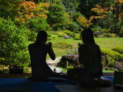 お茶と庭を愛でる