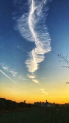 飛行機雲？　風のいたずらか