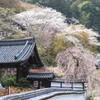 長谷寺の春